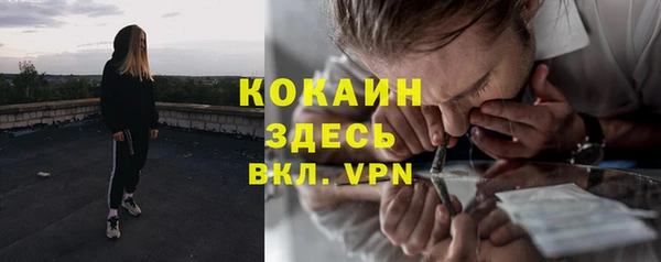 гидропоника Горнозаводск