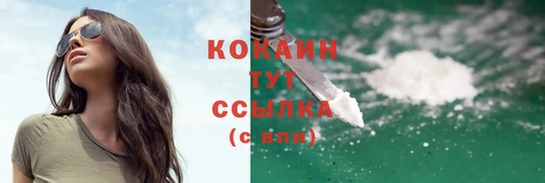 гидропоника Горнозаводск