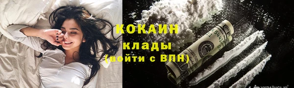 гидропоника Горнозаводск